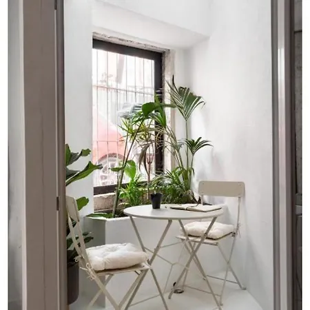 Joivy Big 6br House With Terrace In Santa Catarina